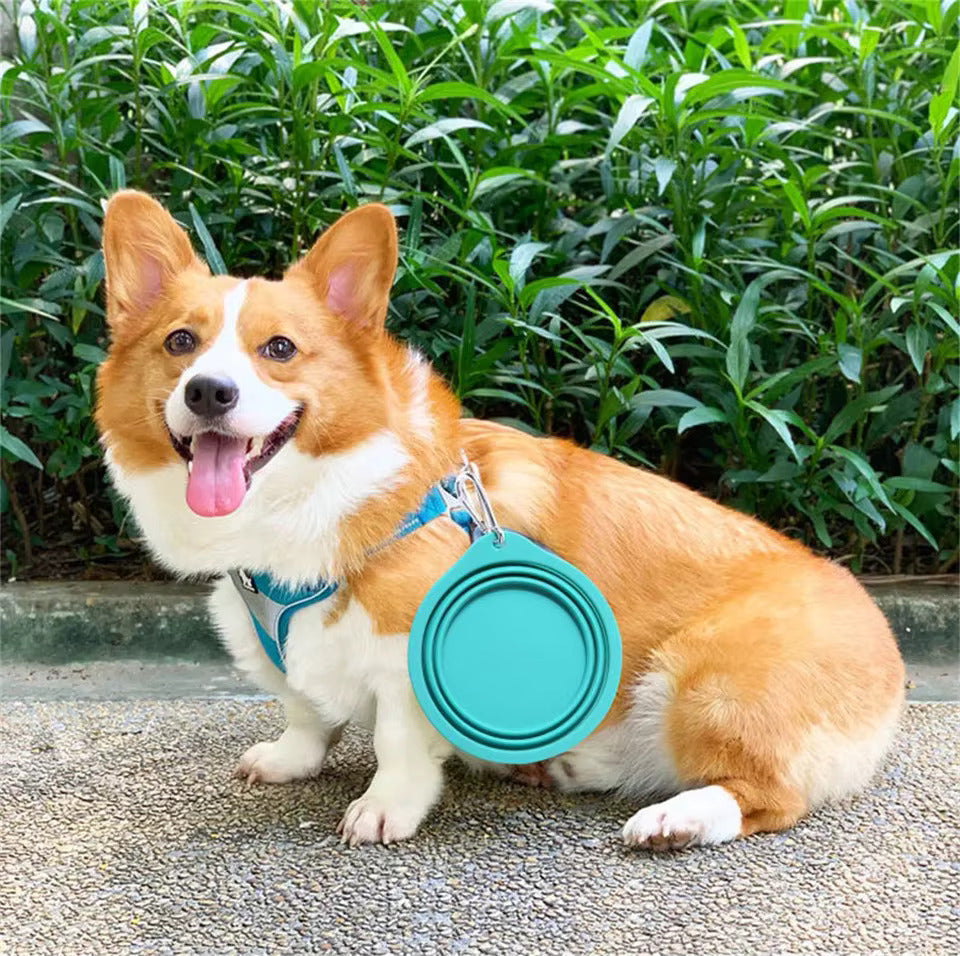 Pet Dog Collapsible Food Bowl 350ml