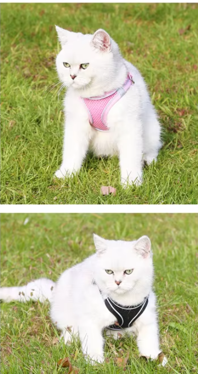 Reflective Pet Harness