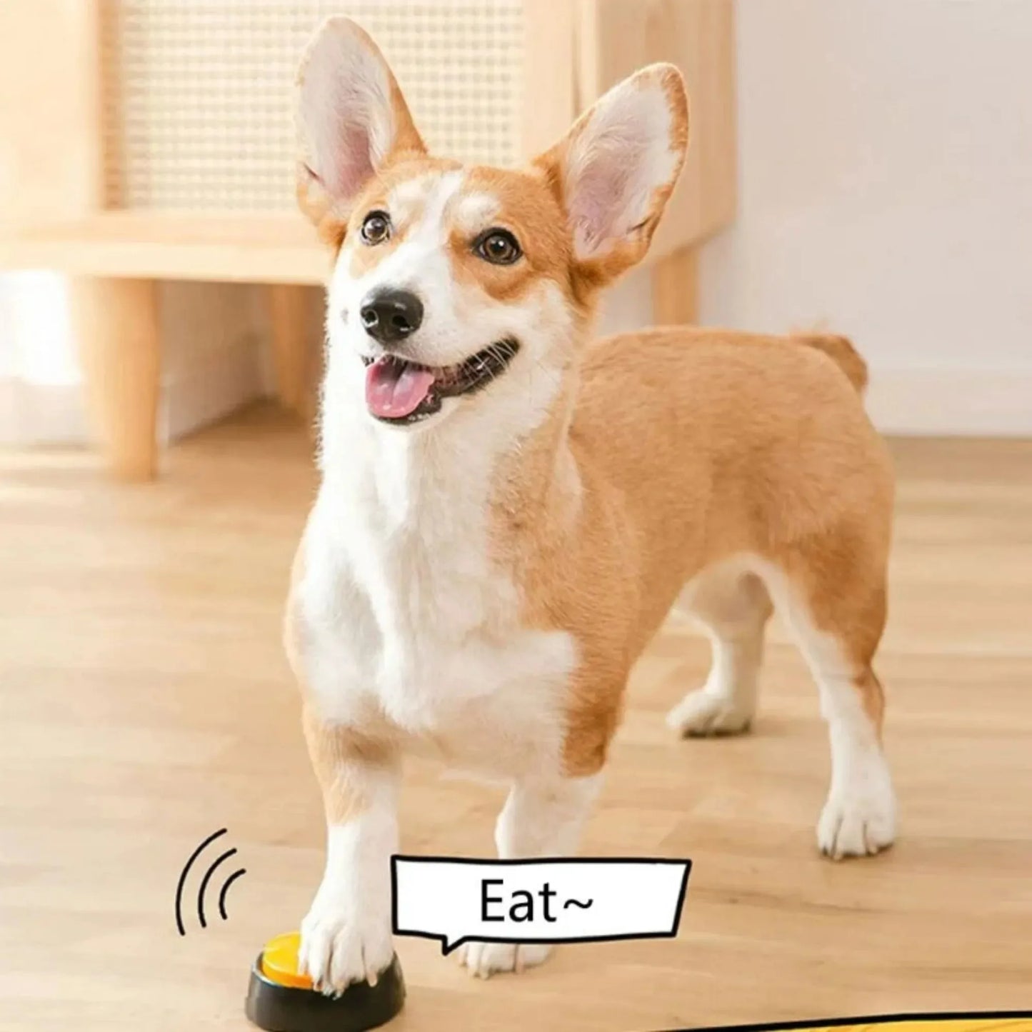 Dog / Cat Communication and Voice Recording Button for Pet