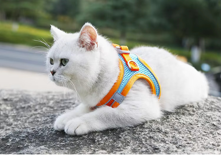 Reflective Pet Harness