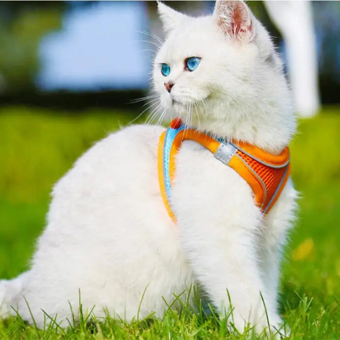 reflective cat carrier