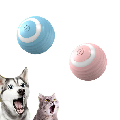 Cat Interactive Ball Smart Ball