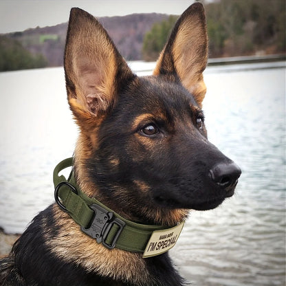 Heavy Duty Tactical Dog Collars