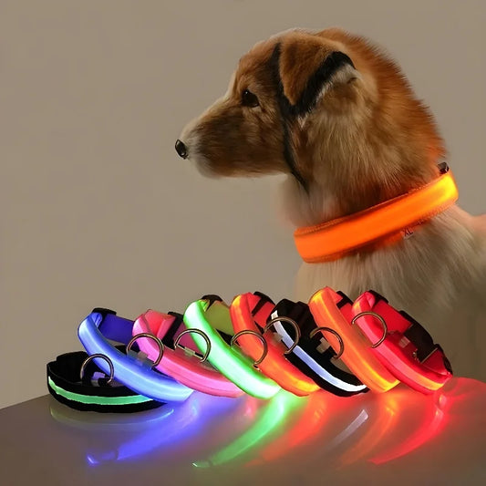 Dog Collar Nylon LED Night Safety