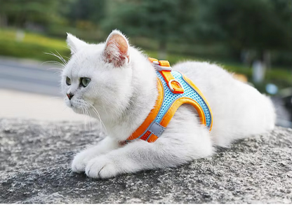 Reflective Pet Harness