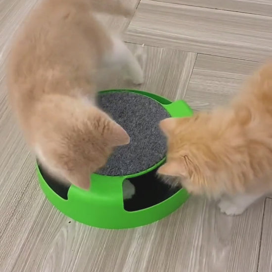 turntable cat toys