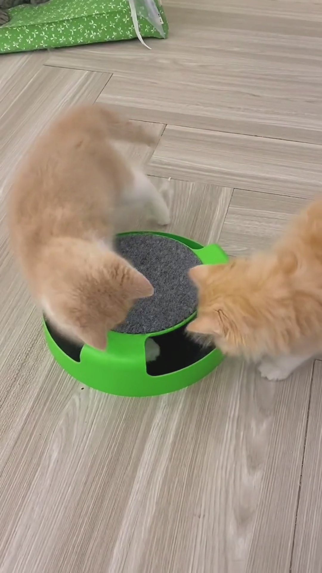 turntable cat toys