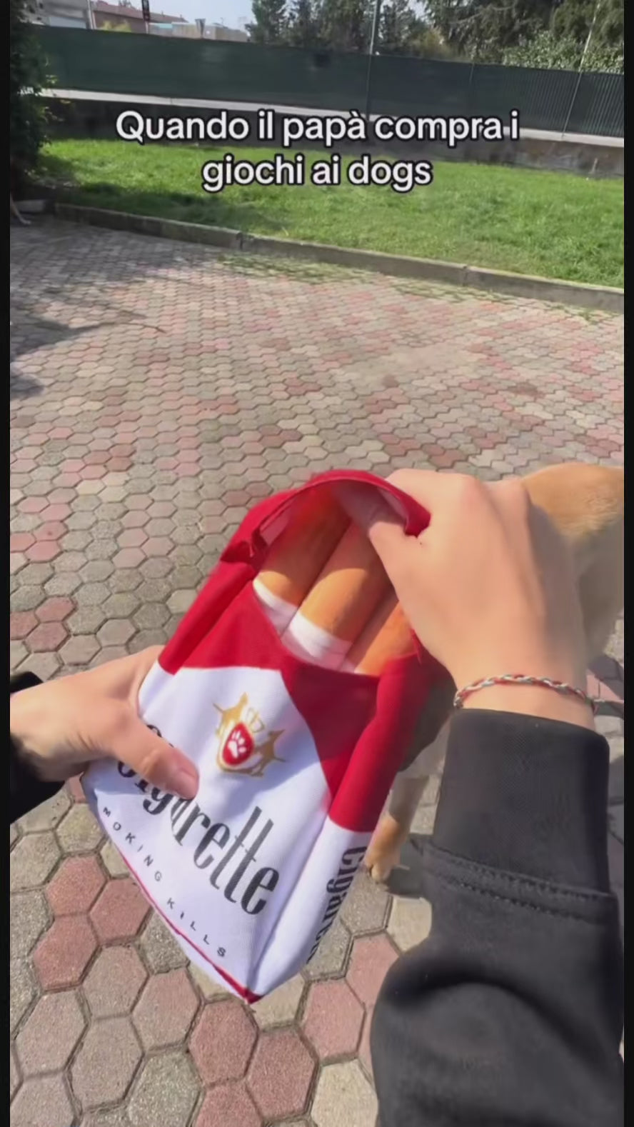 Dog Toys Cigarette 